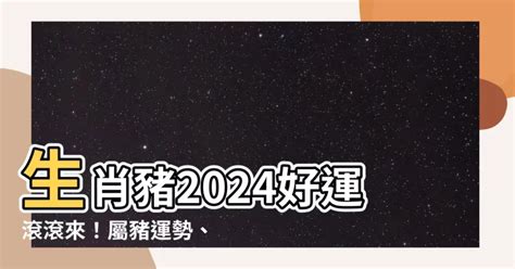 2024生肖豬|2024屬豬幾歲、2024屬豬運勢、屬豬幸運色、財位、禁忌